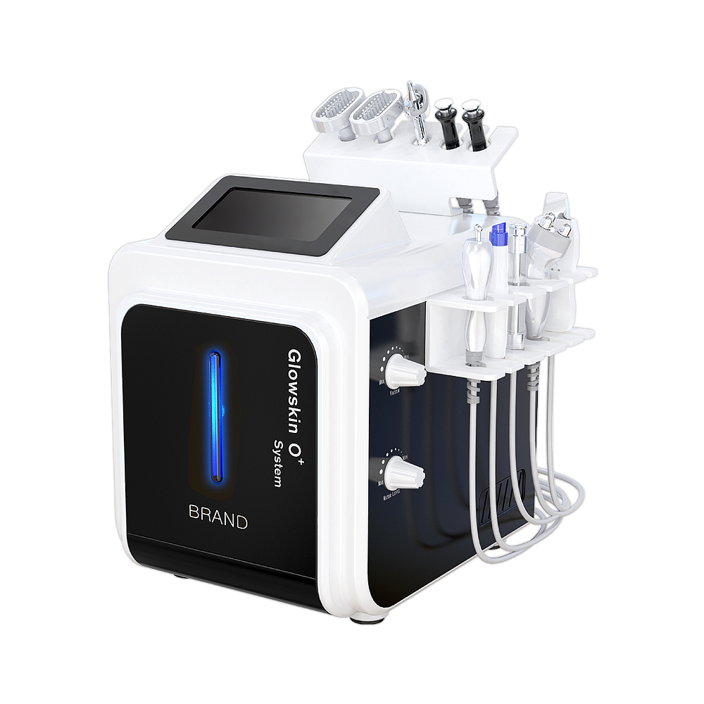 10 in 1 Hydra Facial Skin Care System