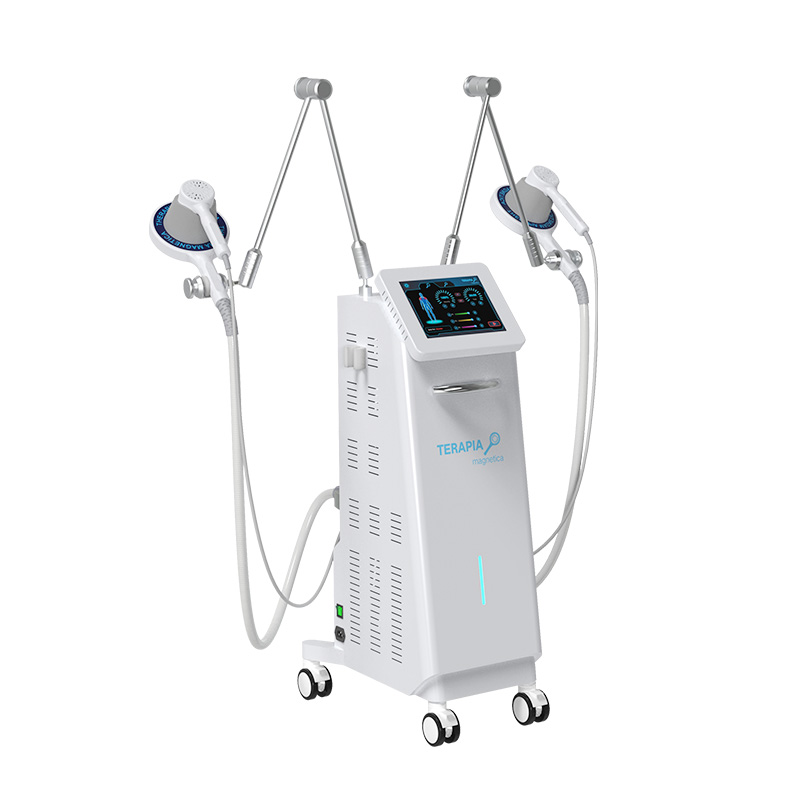 Dual Handles Terapia and Laser Therapy System